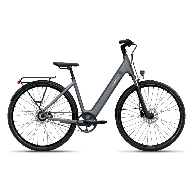 Tenways CGO800S Step-Through Electric Hybrid Bike